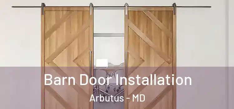  Barn Door Installation Arbutus - MD