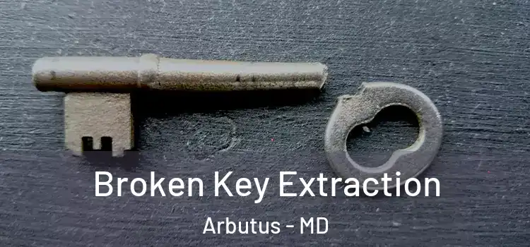  Broken Key Extraction Arbutus - MD