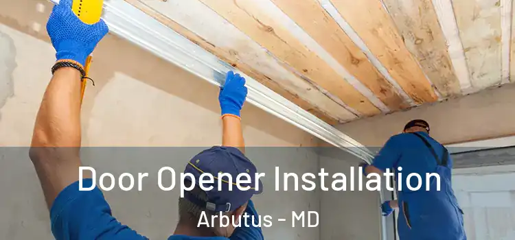  Door Opener Installation Arbutus - MD