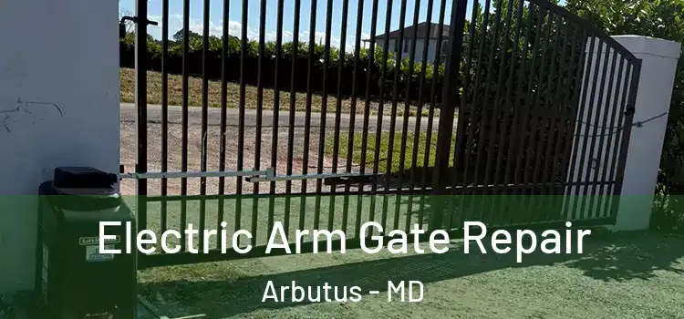 Electric Arm Gate Repair Arbutus - MD