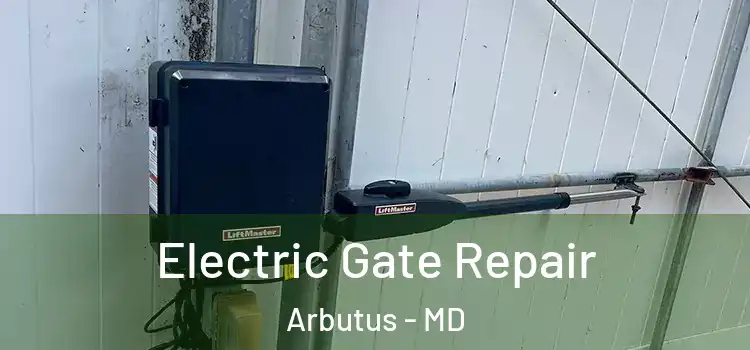  Electric Gate Repair Arbutus - MD