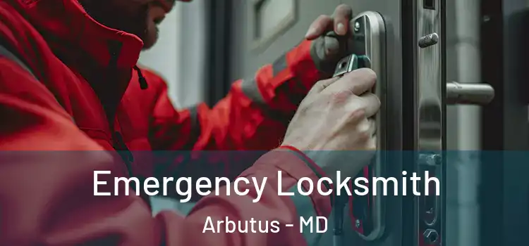 Emergency Locksmith Arbutus - MD