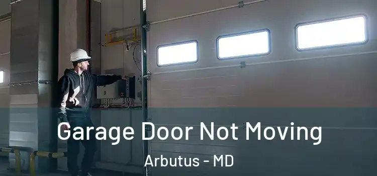  Garage Door Not Moving Arbutus - MD