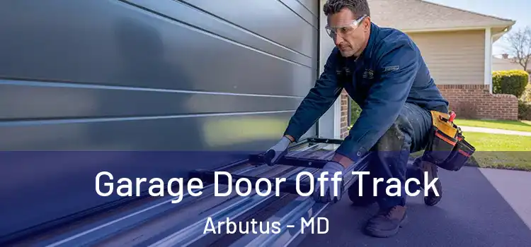  Garage Door Off Track Arbutus - MD