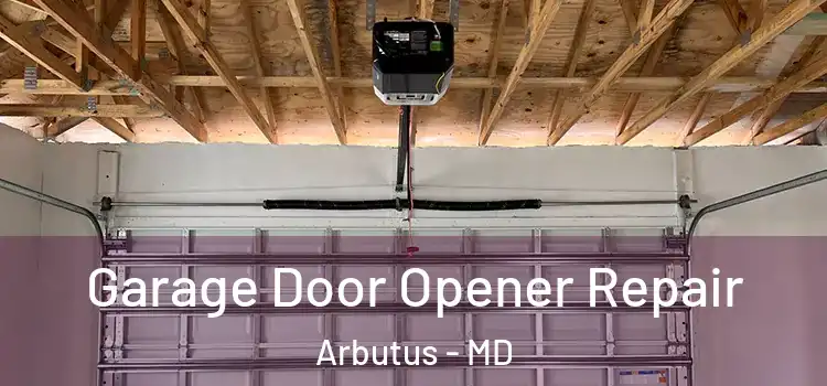  Garage Door Opener Repair Arbutus - MD