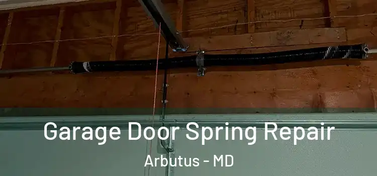  Garage Door Spring Repair Arbutus - MD