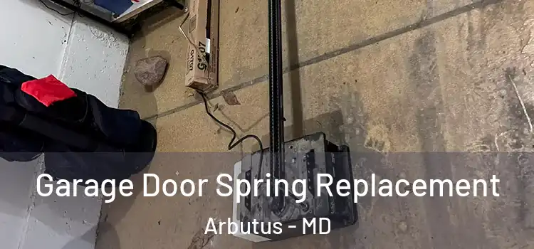  Garage Door Spring Replacement Arbutus - MD