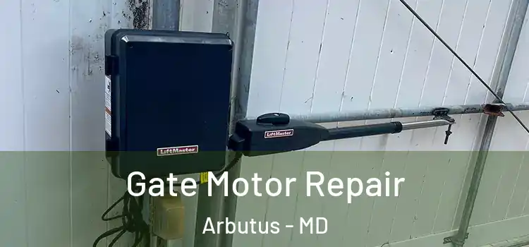  Gate Motor Repair Arbutus - MD