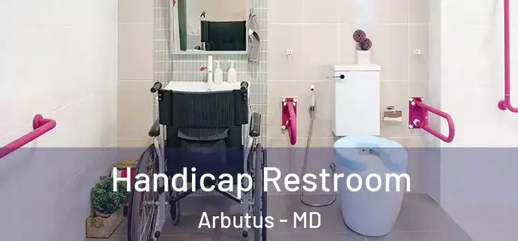  Handicap Restroom Arbutus - MD