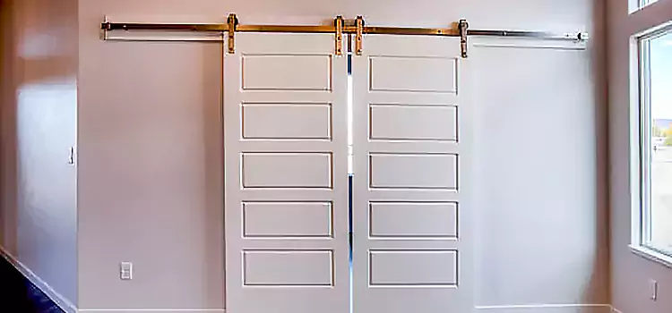 Glass Barn Door with Installation Hardware Kit Arbutus