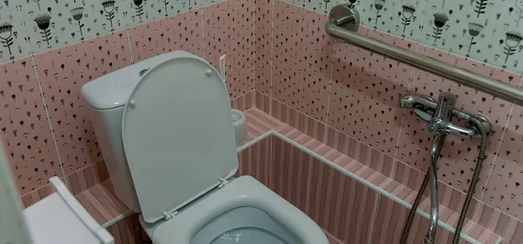 Meeting Diverse Needs With Accessible Restroom Solutions in Arbutus, MD