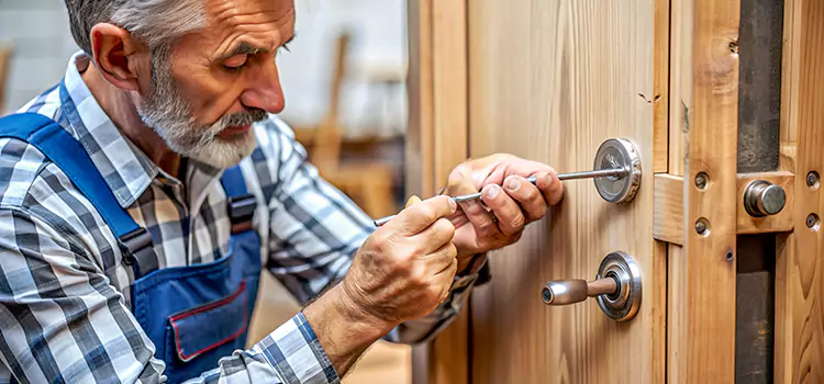 Mortise Replacement Lock Arbutus