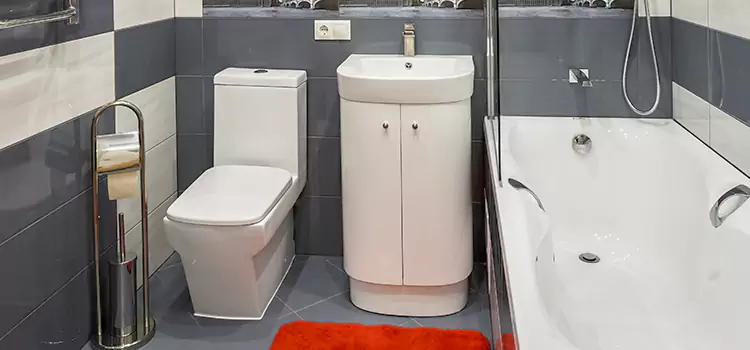 Hansgrohe Shaving Mirror Arbutus