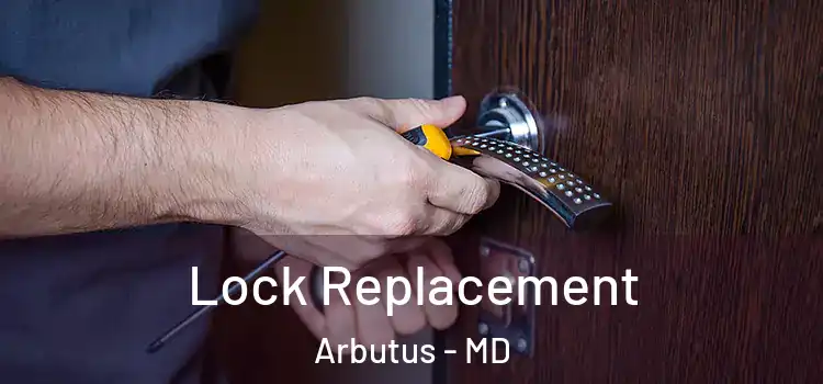  Lock Replacement Arbutus - MD