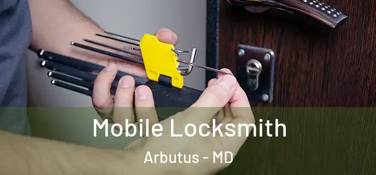  Mobile Locksmith Arbutus - MD