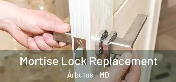  Mortise Lock Replacement Arbutus - MD