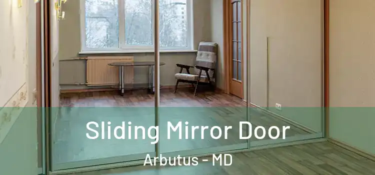  Sliding Mirror Door Arbutus - MD
